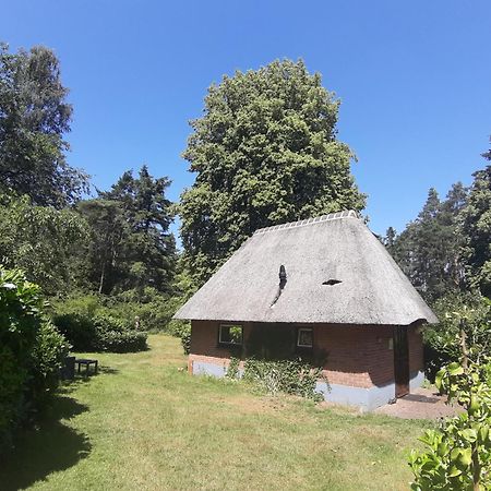 De Hooge Woeste Villa Emst Exterior photo