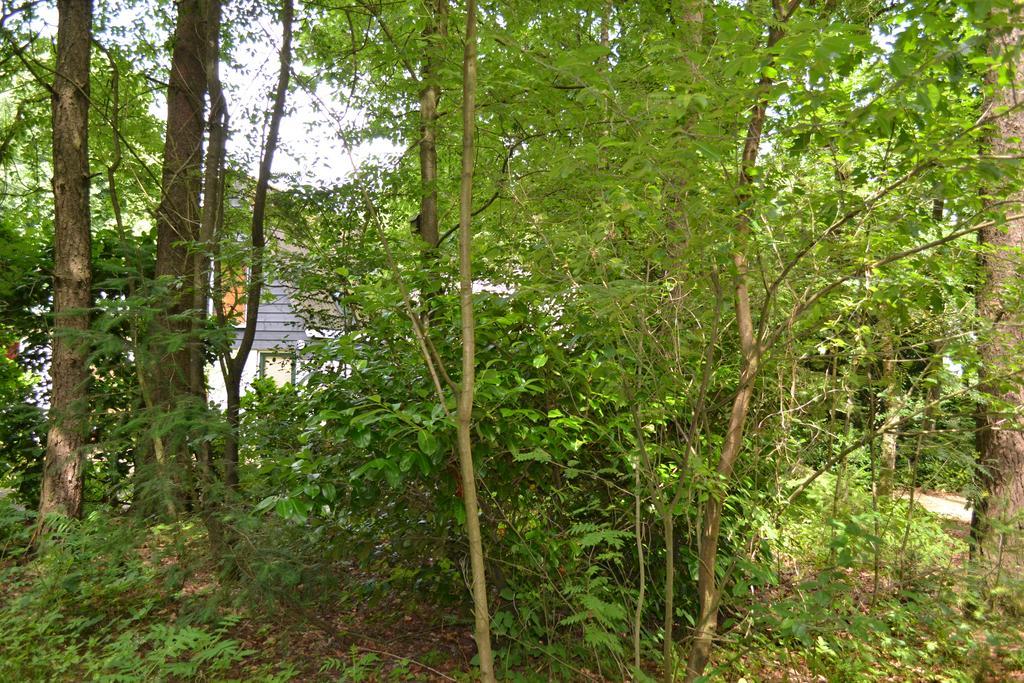 De Hooge Woeste Villa Emst Exterior photo